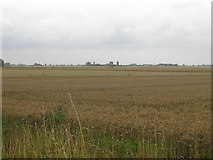 SE8121 : Farmland south of Whitgift by JThomas