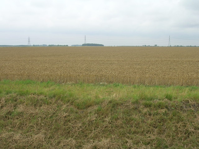 Farmland west of Hoggard Lane