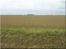 SE8422 : Farmland west of Hoggard Lane by JThomas