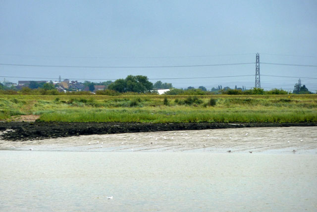 Thames foreshore, Dartford Marshes
