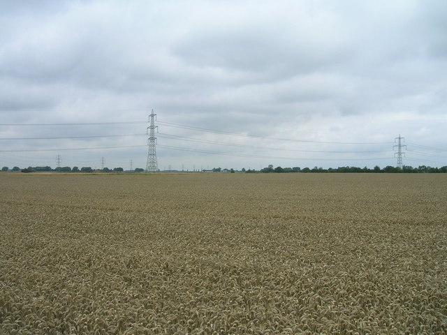Farmland near Waterton Hall