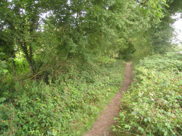 Pardown - Basingstoke path