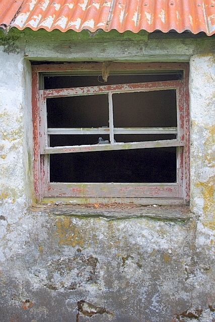 Window of Abandoned Croft