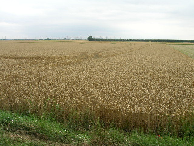 Farmland near Carr House