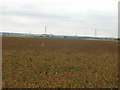 Farmland of Ox Pasture Lane