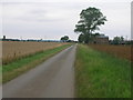 Ox Pasture Lane towards Luddington