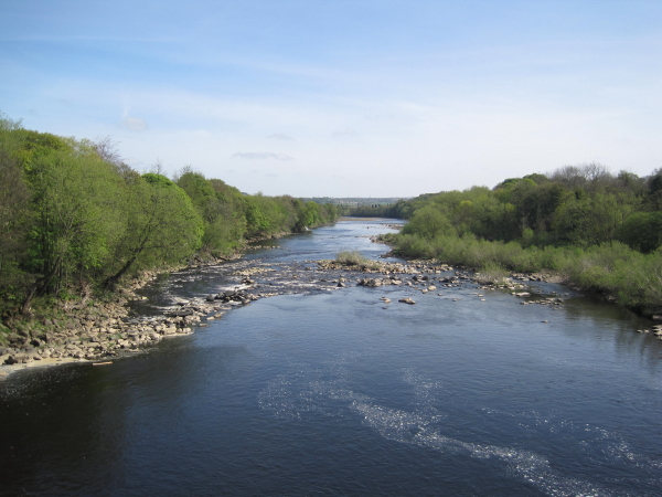 River Tyne from Wylam Bridge