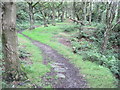 Footpath in Dean Wood, Netherton