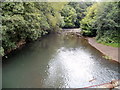 River Rhymney downstream from Pont Bedwas, Bedwas