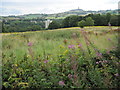 Towards Berry Brow Flats and Castle Hill