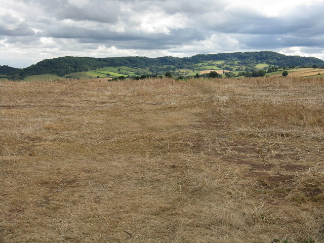 Field south of Dunley Road
