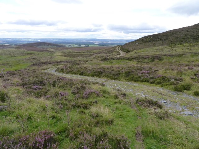 Moorland track