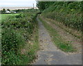 Lane towards Red Wharf Bay