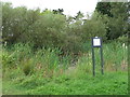 Pond near Mill Plain Bell Common