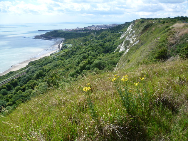 Cliff top view of Folkestone Warren at Capel-le-Ferne