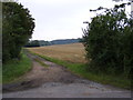 Footpath to Moat Farm