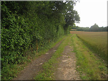 SU5752 : Track/path to Malshanger Lane by Mr Ignavy