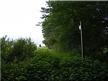 TM2161 : Footpath to the A1120 by Geographer