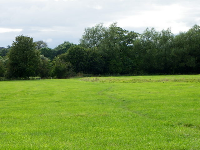 Footpath, Higher Marsh