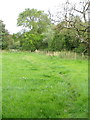 Footpath, Higher Marsh