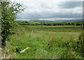 Rough grazing east of Comins Capel Betws, Ceredigion