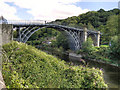 SJ6703 : The Iron Bridge by David Dixon