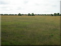 Farmland near Haven Farm