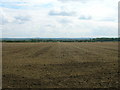 Farmland off Salt Hill Road