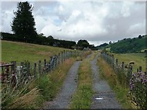 SO3792 : The long track to Woodlands Farm by Christine Johnstone