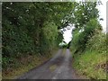 SO3792 : The narrow lane to Norbury by Christine Johnstone