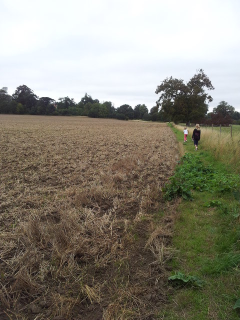 Footpath alongside ploughed wheat fields