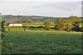 Mid Devon : Grassy Field