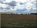 Looking over a field towards Holbrook Bay