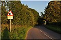 Mid Devon : Stoney Lane Hill