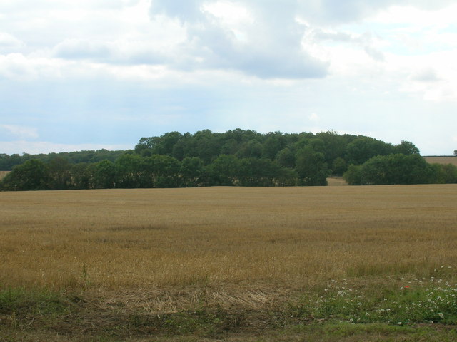 Farmland south off King's Wood