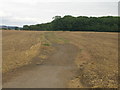 Farm track towards Stubbing