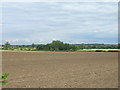 Farmland, Bagley Green