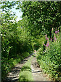 Farm track near  Capel Betws Lleucu, Ceredigion