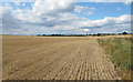 Arable field near Nether Hall