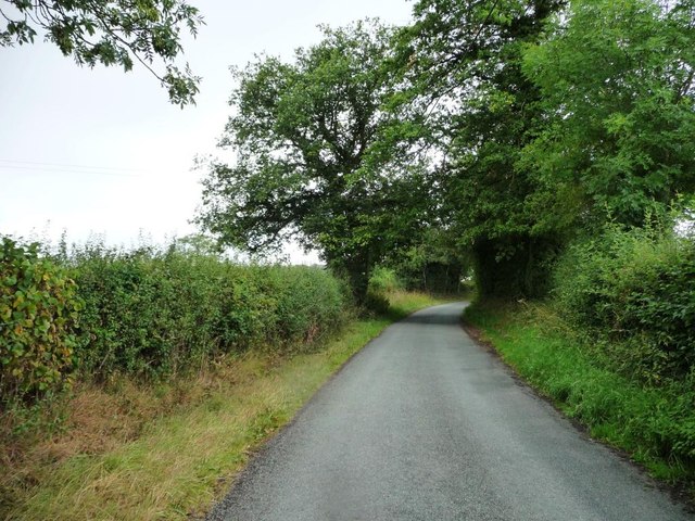 Lane to Criftin House