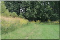 Footpath next to the River Dee