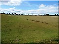 SO7290 : Fenced fields near Eardington by Christine Johnstone