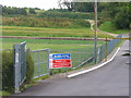 Alresford Salads, Watercress Beds