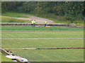 Watercress Beds, Alresford Salads