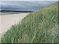 G8974 : Dunes with Marram Grass by Jonathan Wilkins