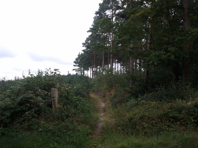 Footpath from the road to Mamhead Bottom