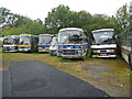 Old coaches near Builth Wells