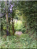 TM2153 : Footpath to the B1079 Grunsdisburgh Road by Geographer