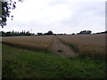 Footpath to Snipe Farm Lane