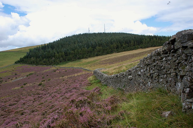 Wall on Mossilee Hill